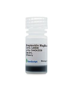 GenScript Streptavidin MagBeads 2ml (0.5 ml Settled Beads)