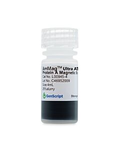 Genscript AmMag Ultra AT protein A magbeads