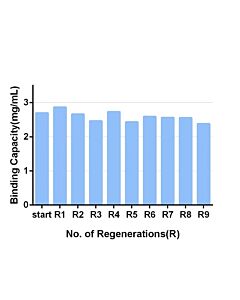 GenScriptMonoRab Anti-Humanized VHH Affinity Resin