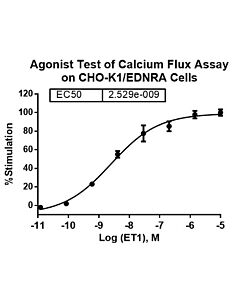Genscript CHO-K1/EDNRA Stable Cell Line