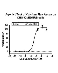 Genscript CHO-K1/EDNRB Stable Cell Line