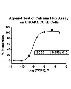 Genscript CHO-K1/CCKB Stable Cell Line