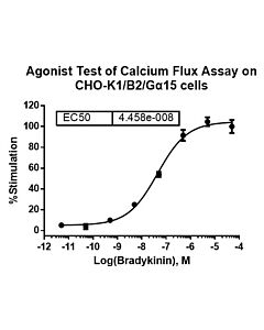Genscript CHO-K1/B2/Gα15 Stable Cell Line