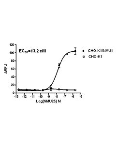 Genscript CHO-K1/NMU1 Stable Cell Line