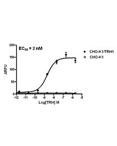 Genscript CHO-K1/TRH1 Stable Cell Line
