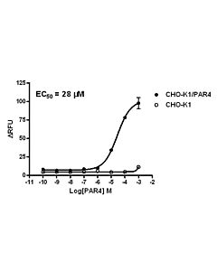 Genscript CHO-K1/PAR4 Stable Cell Line