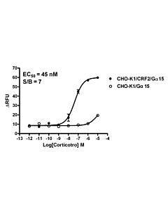 Genscript CHO-K1/CRF2/Gα15 Stable Cell Line
