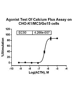 Genscript CHO-K1/MC3/Gα15 Stable Cell Line