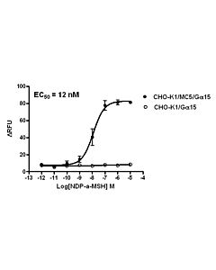 Genscript CHO-K1/MC5/Gα15 Stable Cell Line