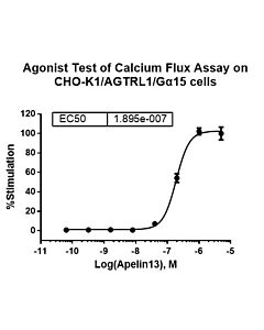Genscript CHO-K1/AGTRL1/Gα15 Stable Cell Line