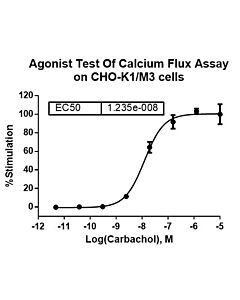 Genscript CHO-K1/M3 Stable Cell Line