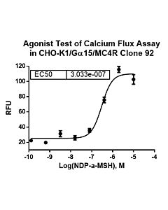 Genscript CHO-K1/MC4/Gα15 Stable Cell Line