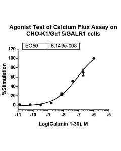 Genscript CHO-K1/GALR1/Gα15 Stable Cell Line