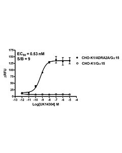 Genscript CHO-K1/ADRA2A/Gα15 Stable Cell Line