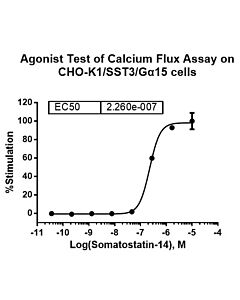 Genscript CHO-K1/SST3/Gα15 Stable Cell Line