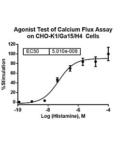 Genscript CHO-K1/H4/Gα15 Stable Cell Line