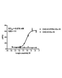 Genscript CHO-K1/FPRL1/Gα15 Stable Cell Line