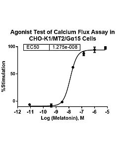 Genscript CHO-K1/MT2/Gα15 Stable Cell Line