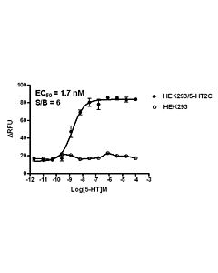 GenScript HEK293/5-HT2C Stable Cell Line2vials