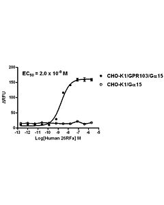 Genscript CHO-K1/GPR103/Gα15 Stable Cell Line