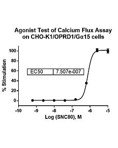 Genscript CHO-K1/OPRD1/Gα15 Stable Cell Line