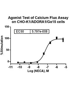 Genscript CHO-K1/ADORA1/Gα15 Stable Cell Line