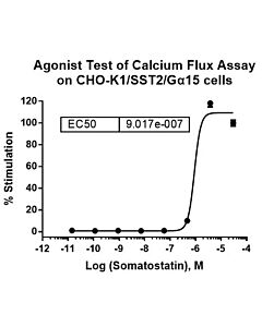 Genscript CHO-K1/SST2/Gα15 Stable Cell Line