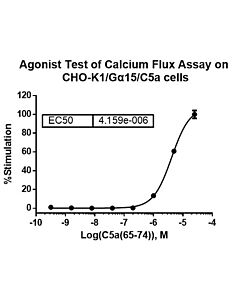 Genscript CHO-K1/C5a/Gα15 Stable Cell Line