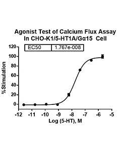 Genscript CHO-K1/5-HT1A/Gα15 Stable Cell Line