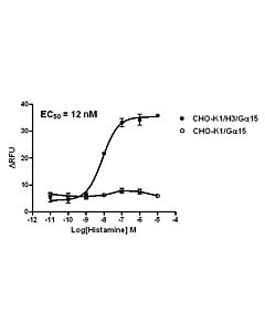 Genscript CHO-K1/H3/Gα15 Stable Cell Line