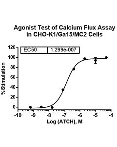 Genscript CHO-K1/MC2/Gα15 Stable Cell Line