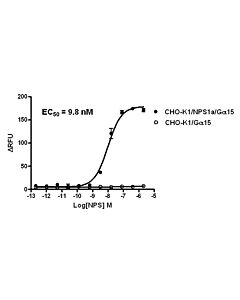 Genscript CHO-K1/NPS1a/Gα15 Stable Cell Line