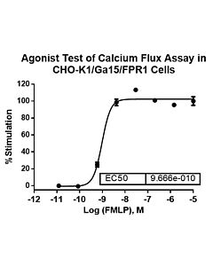 Genscript CHO-K1/FPR1/Gα15 Stable Cell Line