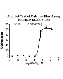 Genscript CHO-K1/CASR Stable Cell Line
