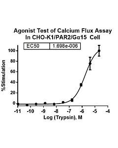 Genscript CHO-K1/PAR2/Gα15 Stable Cell Line
