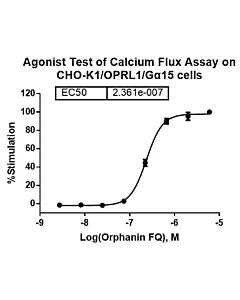 Genscript CHO-K1/OPRL1/Gα15 Stable Cell Line