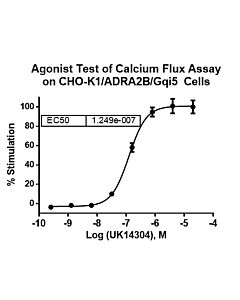 Genscript CHO-K1/ADRA2B/Gqi5 Stable Cell Line
