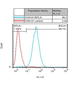 Genscript CHO-K1/BTLA Stable Cell Line