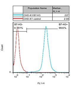 Genscript CHO-K1/B7-H3 Stable Cell Line