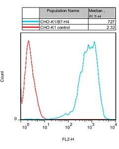 Genscript CHO-K1/B7-H4 Stable Cell Line