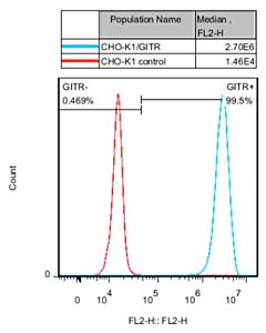 Genscript CHO-K1/GITR Stable Cell Line