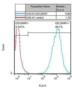 Genscript CHO-K1/CD200 R1 Stable Cell Line