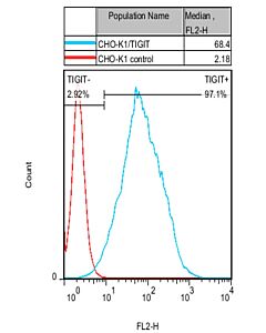 Genscript CHO-K1/TIGIT Stable Cell Line