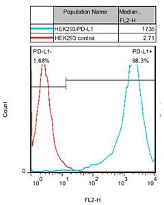 GenScript HEK293/PD-L1 Stable Cell Line2vials