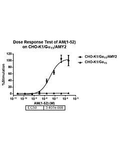 Genscript CHO-K1/Gα15/AMY2 Stable Cell Line