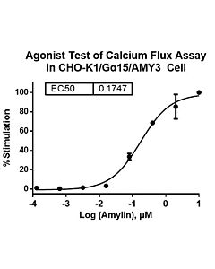 Genscript CHO-K1/Ga15/AMY3 Stable Cell Line