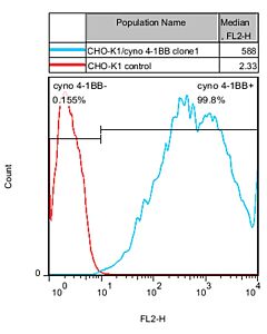 Genscript CHO-K1/cyno 4-1BB Stable Cell Line