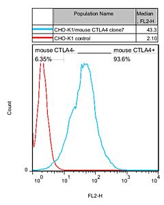 Genscript CHO-K1/mouse CTLA4 Stable Cell Line