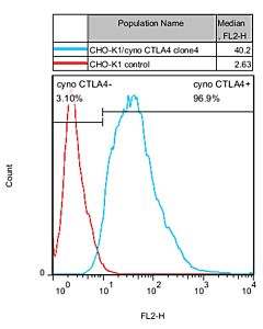 Genscript CHO-K1/cyno CTLA4 Stable Cell Line