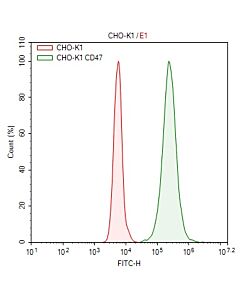Genscript CHO-K1/human CD47 Stable Cell Line